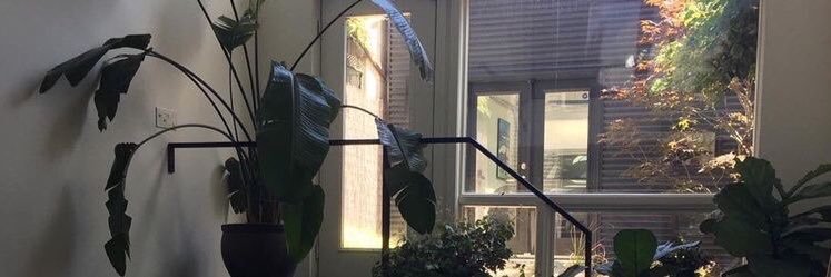 𝕄𝕒𝕥𝕖 banner