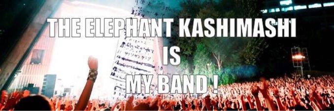 GIBEL banner