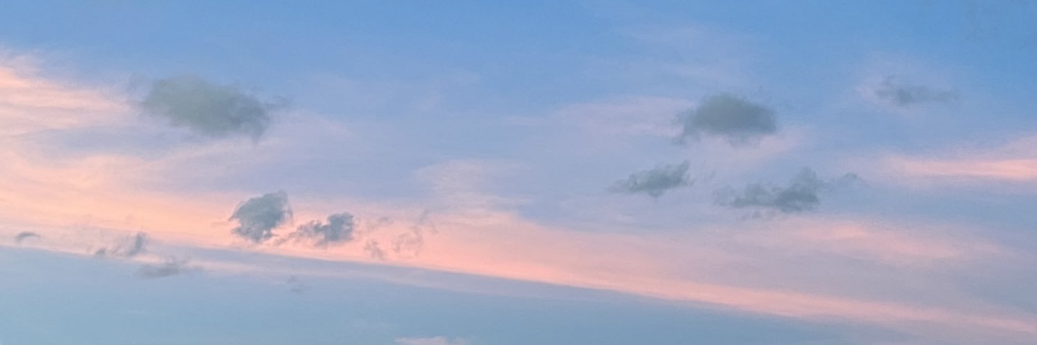n_nesnesness's profile banner image