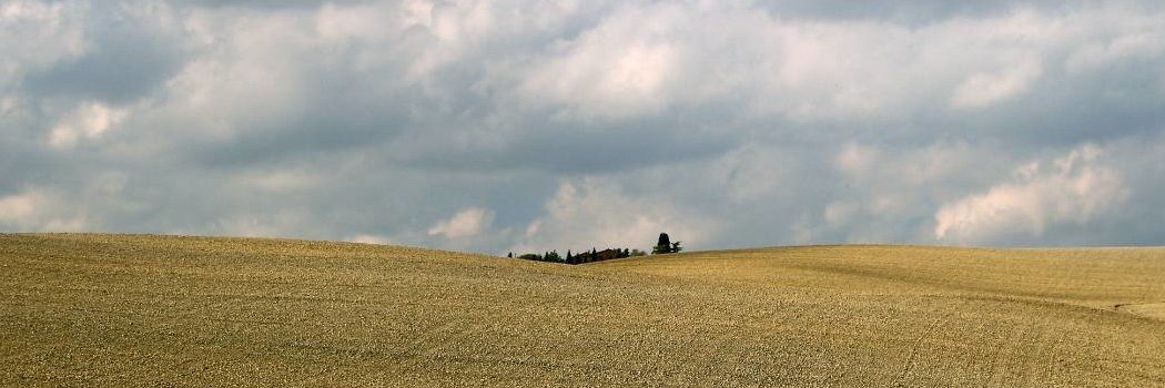 Adil Khashtamov banner