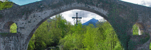 Vene-Asturias banner