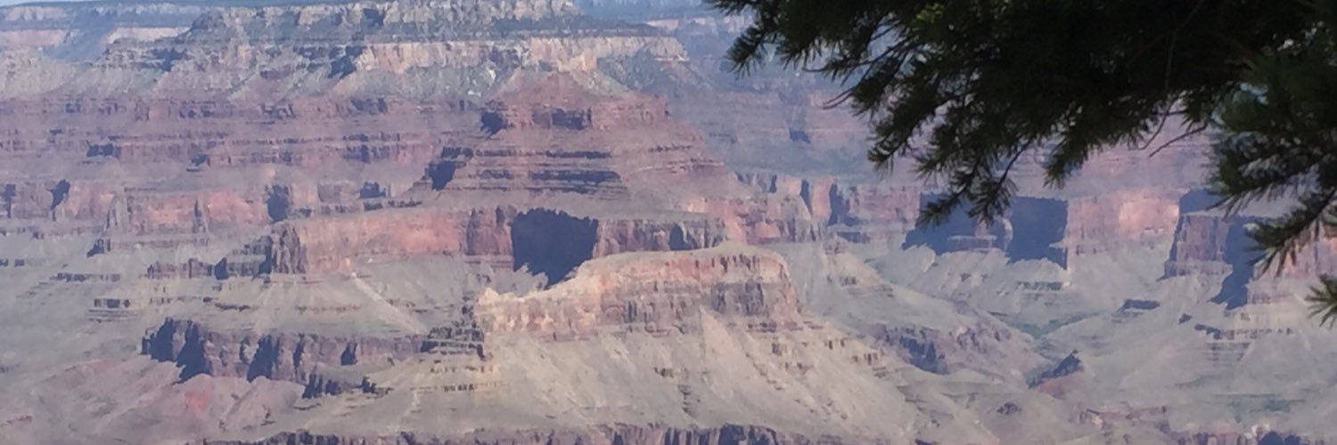 StaceyPMurray's profile banner image