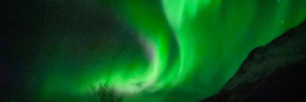 larissabndsn's profile banner image