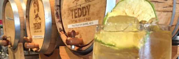 TeddyBullyDC Profile Banner
