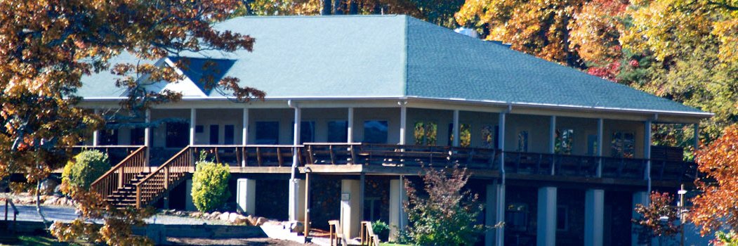 Phoebe Needles banner