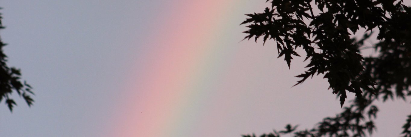 dianegrasley's profile banner image