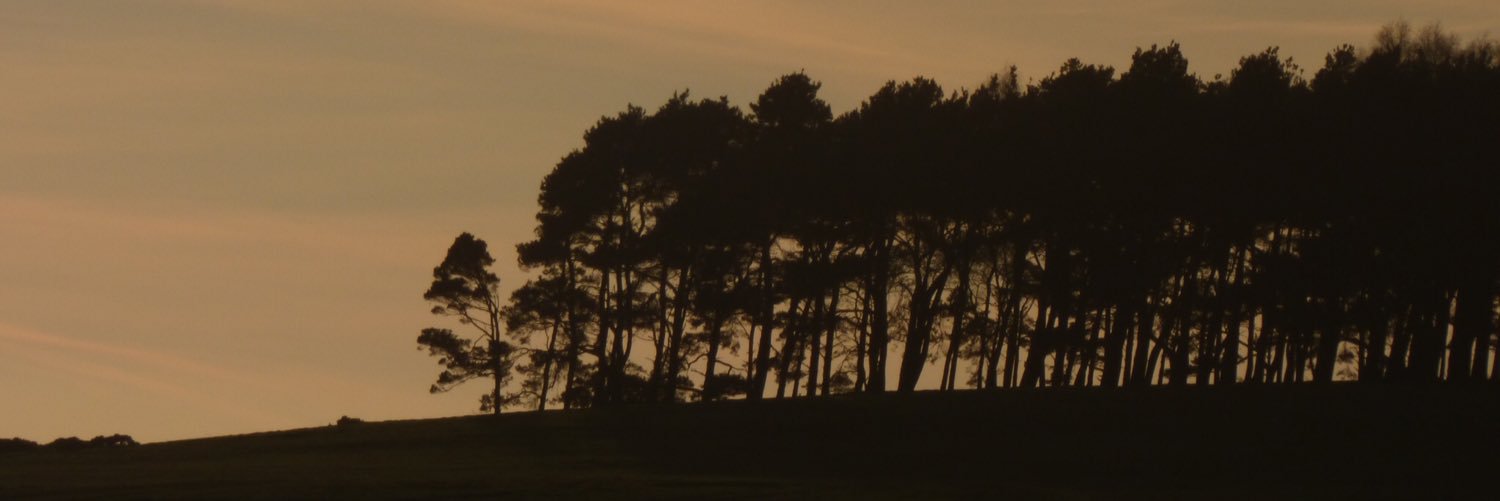 darylphillips94's profile banner image