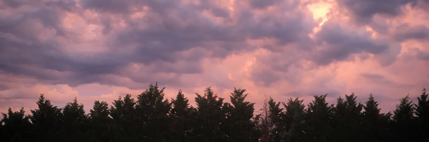 brandyshelton's profile banner image