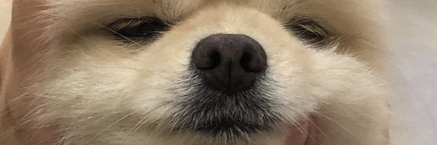 Numa_Ac's profile banner image