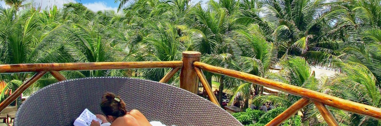 Grey8wolfFaves 📸 banner