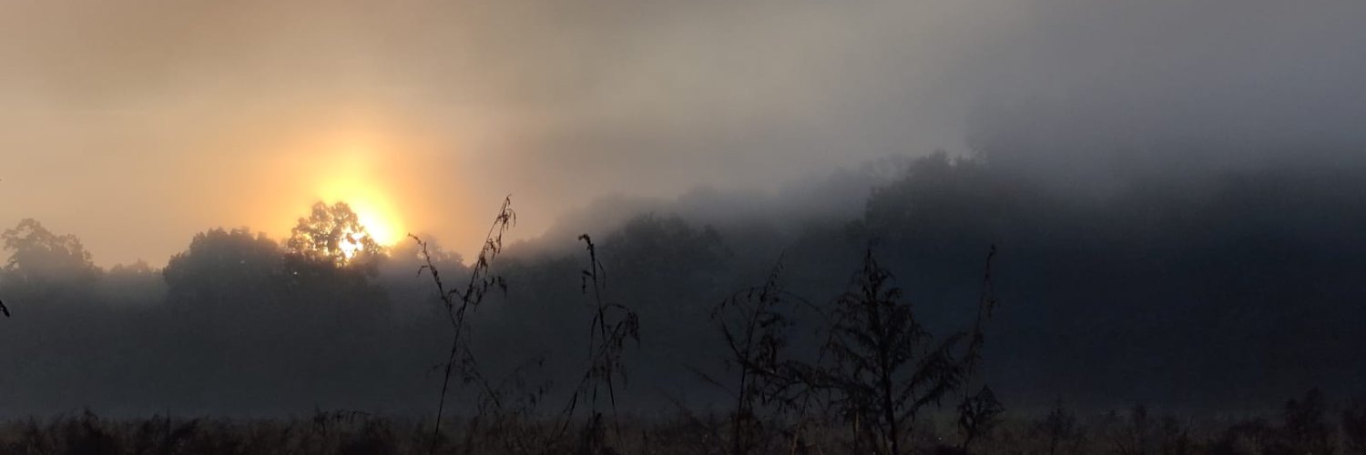 ArViDiaries's profile banner image