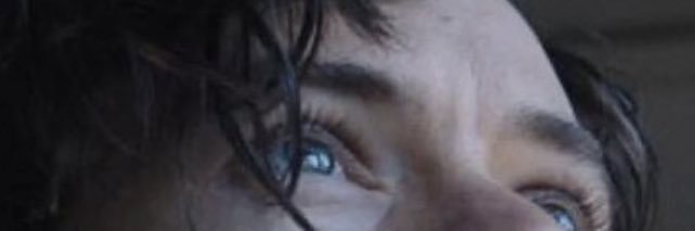 punk_iguana's profile banner image