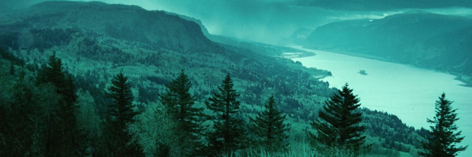 Mari Mari 🐝 banner