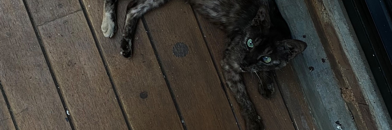 Indiimie's profile banner image