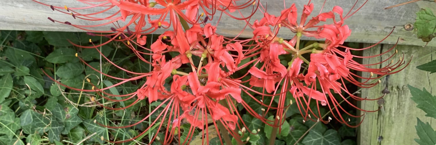 creepingnormality banner