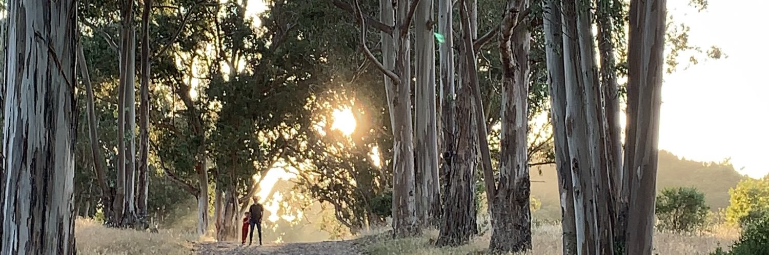 Jacob Sherman banner