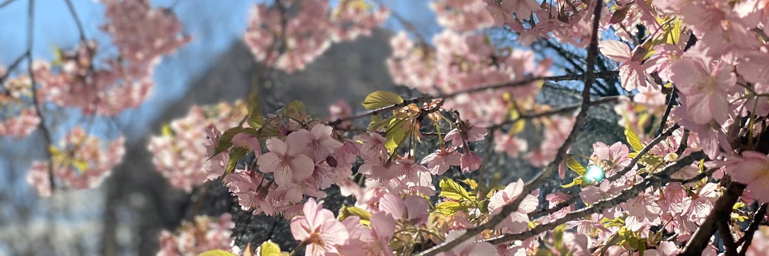 himari_0914's profile banner image