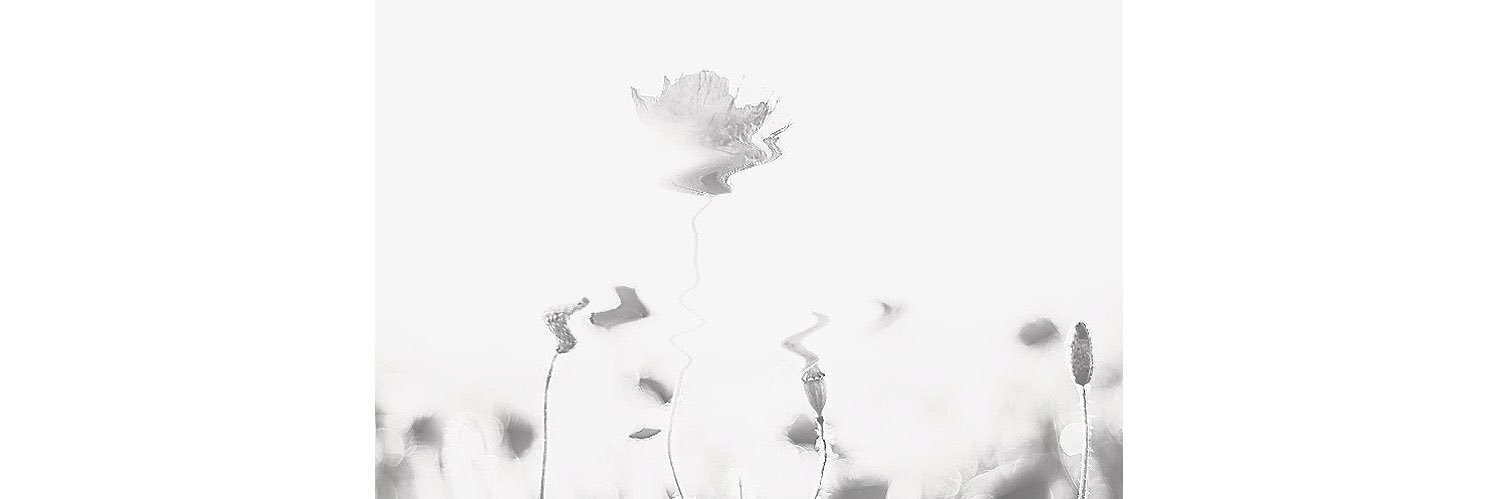 ramu__0117's profile banner image