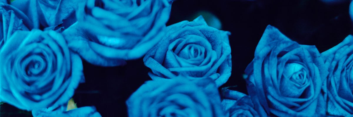 kls1's profile banner image