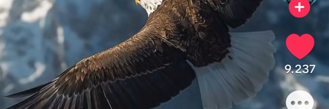stormby06's profile banner image