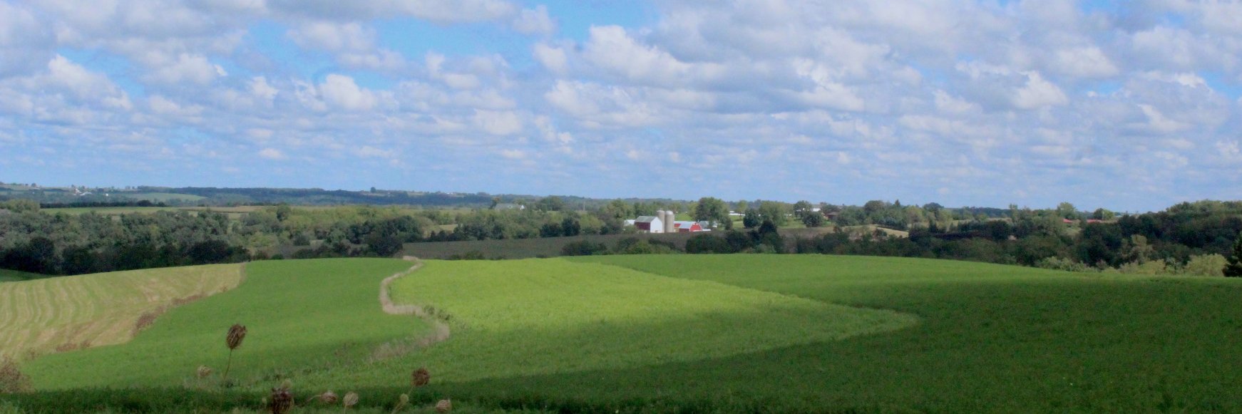 Dodgeville Chronicle banner