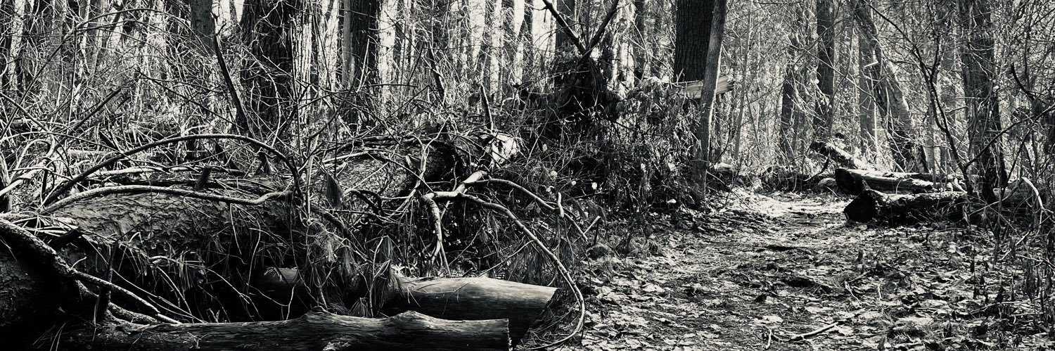 cam_kaiser's profile banner image