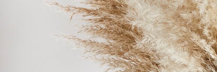 AlaiaRose5's profile banner image