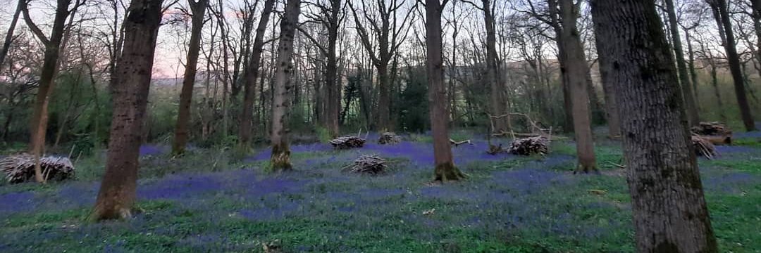 Lisa Richardson banner