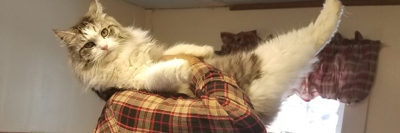 ralphbohm's profile banner image
