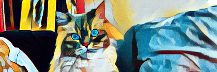 surreal_studios's profile banner image