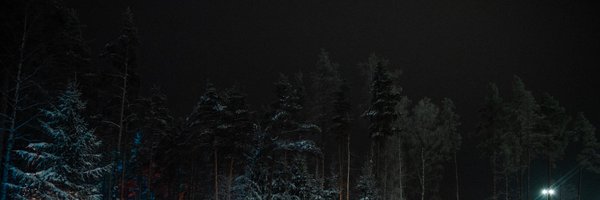 Nikita Buyanov Profile Banner