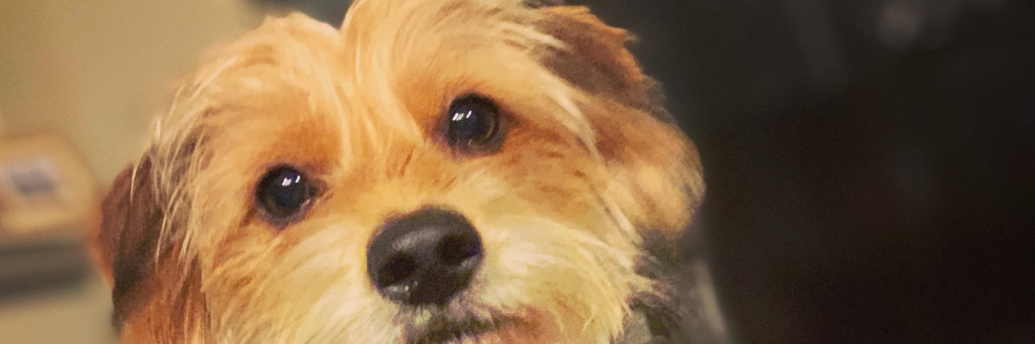 sergiolara's profile banner image