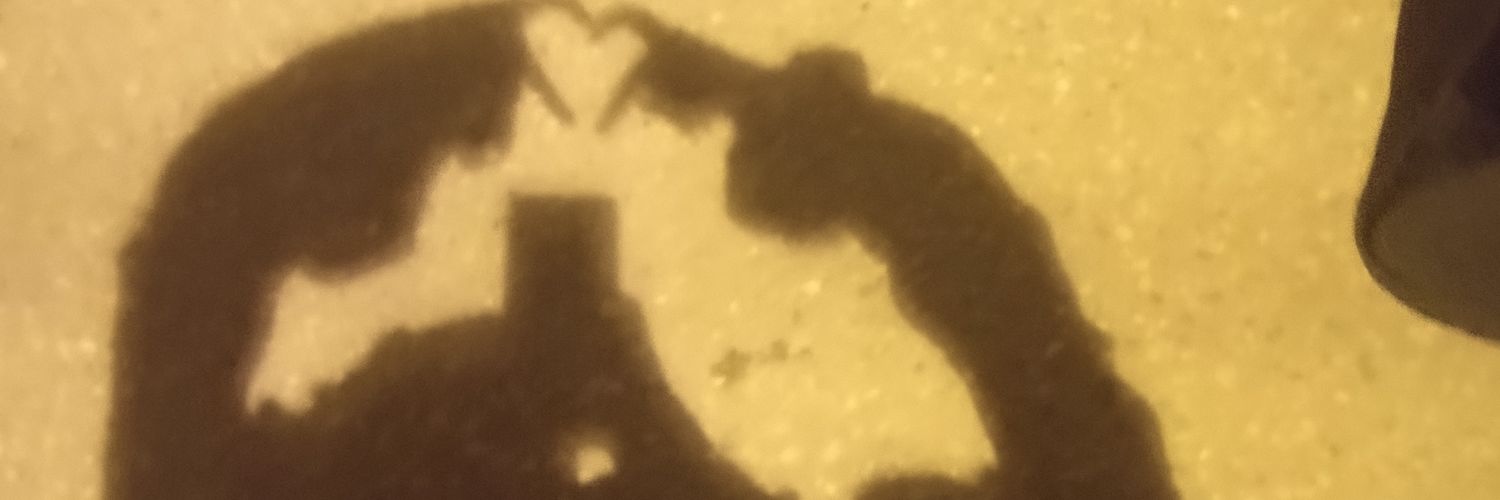 heba_bibo_'s profile banner image