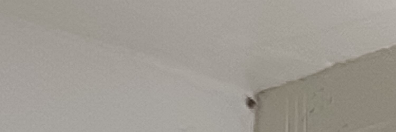 Oliver. 🥩💥🦴 banner