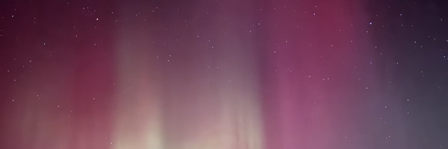 dinkylune's profile banner image