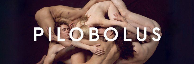 Pilobolus banner