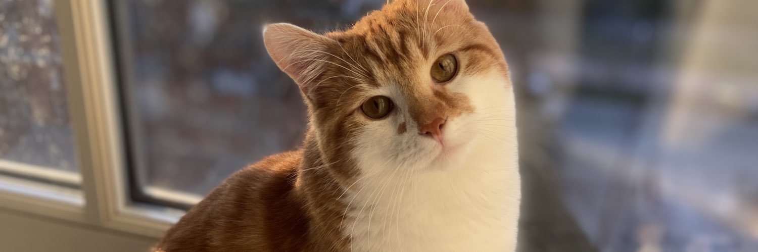 cindyrinn's profile banner image