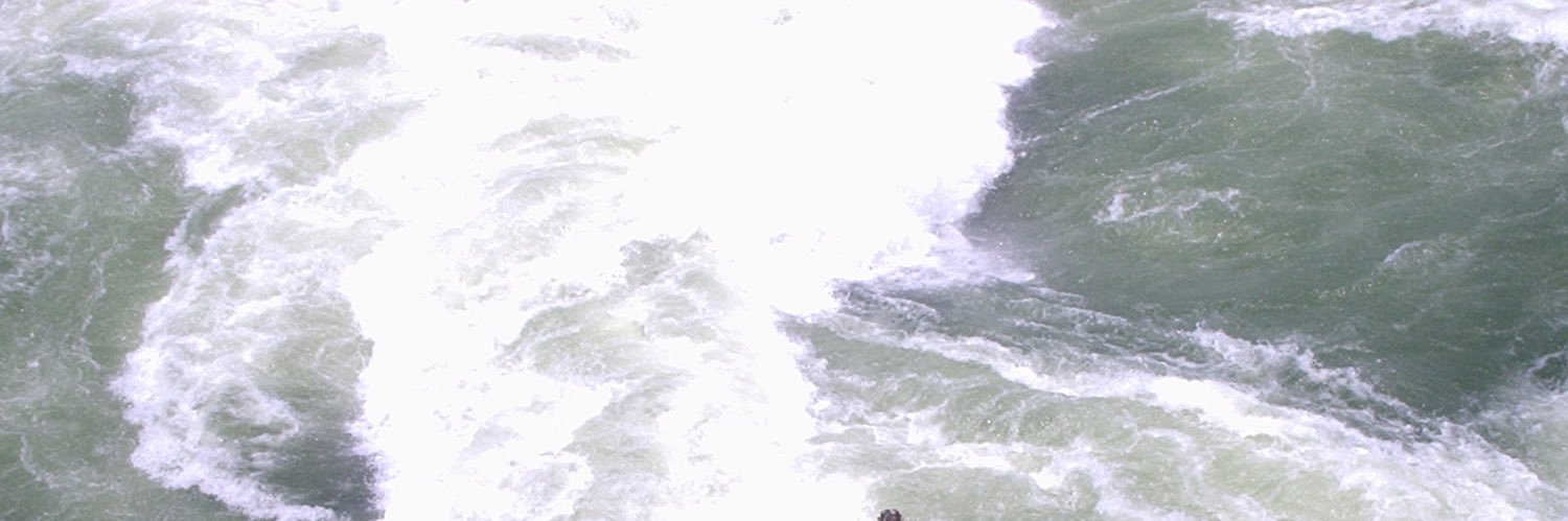 eroticalin's profile banner image