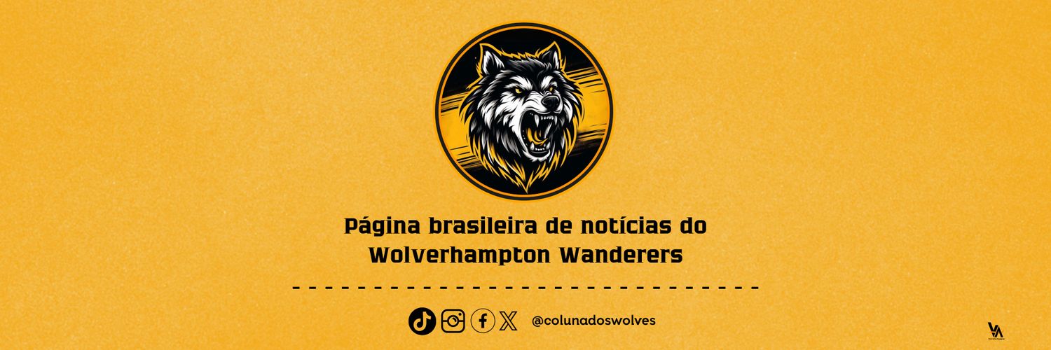 𝗖𝗼𝗹𝘂𝗻𝗮 𝗱𝗼𝘀 𝗪𝗼𝗹𝘃𝗲𝘀 🐺🇧🇷 banner