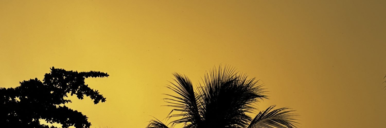 dbashasha's profile banner image