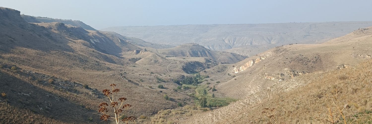 🌱NormalSexy🦋 banner