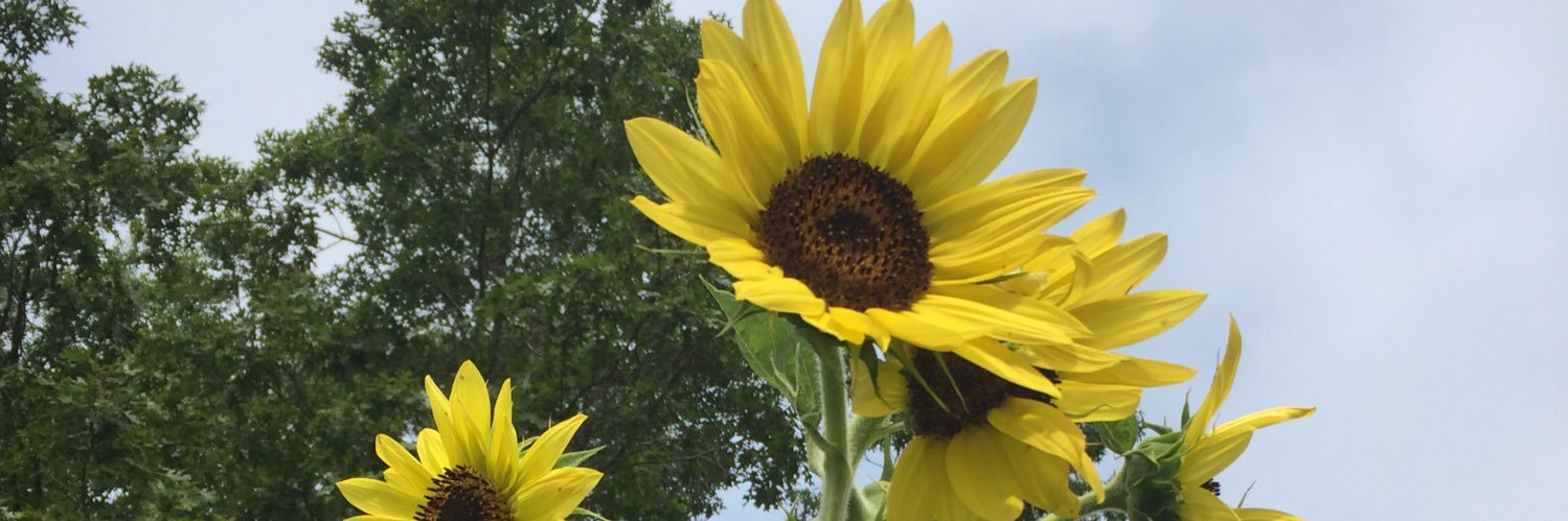 aprilbee1986's profile banner image