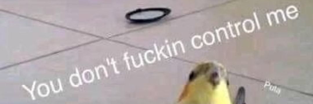 TheDroppedChild's profile banner image