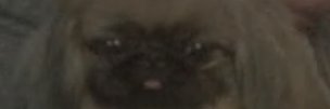 mathildeagm's profile banner image