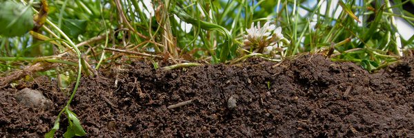 nicksaltmarsh Profile Banner