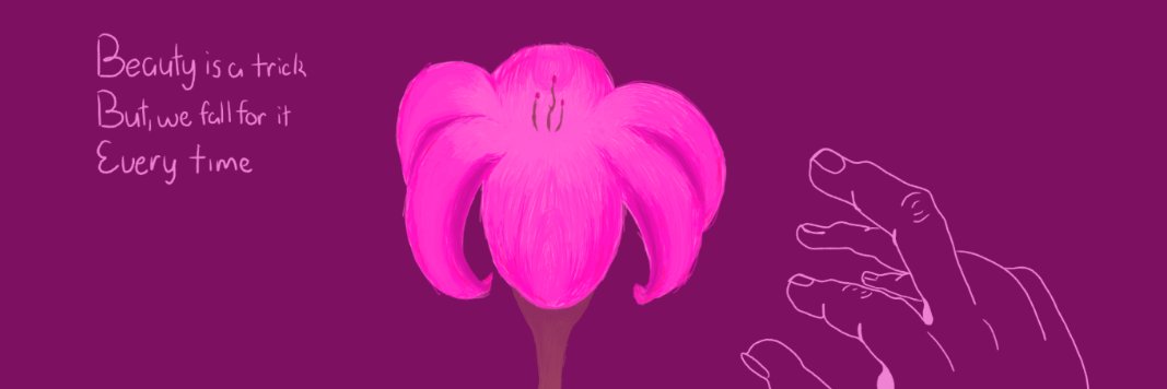 kogmia's profile banner image
