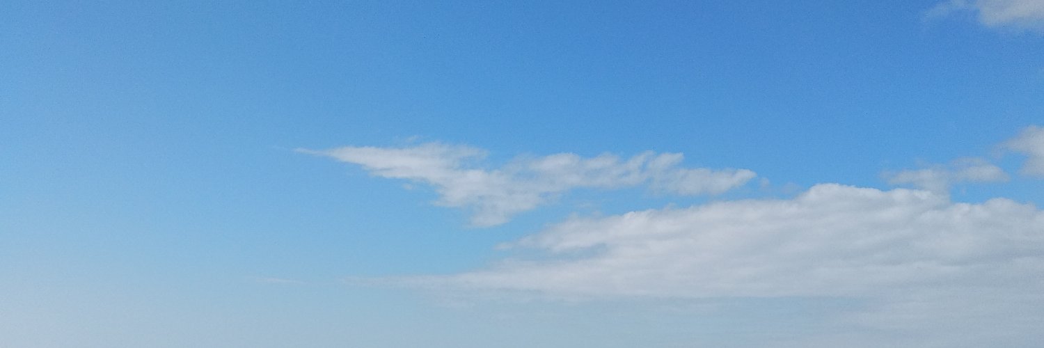 Ocyy (이 하 문) banner