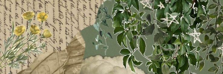 Madison banner