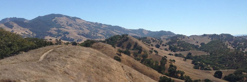 Ethan Pollack banner