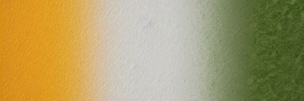 rarepolymorph Profile Banner